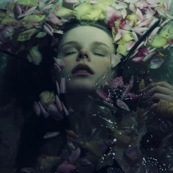 Исполнитель: HOLLY