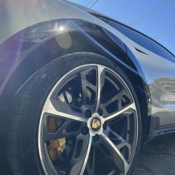 Исполнитель: WHITE GALLOWS