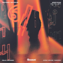 Anthony Keyrouz & Felix Schorn - Spectrum (Say My Name) - Afro House Version