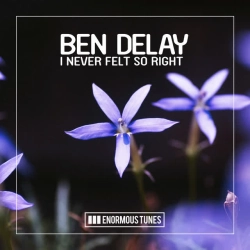 Ben Delay - I Never Felt so Right - Radio Mix