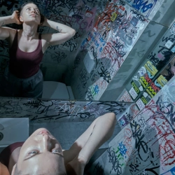 Блекфіш - Ведмедики CBD