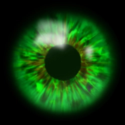 coolerthanyourboyfriend. - Green Eyes (Please Don't Cry)