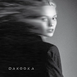 DAKOOKA - Герой