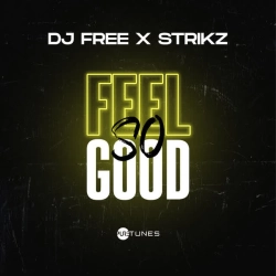 DJ Free & STRIKZ - Feel So Good