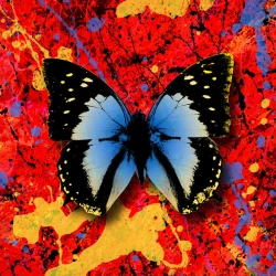 Ed Sheeran & Антитіла - 2step (feat. Antytila)