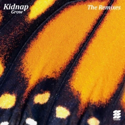 Kidnap & Leo Stannard & Ben Böhmer & Nils Hoffmann - Moments - Ben Böhmer & Nils Hoffmann Remix