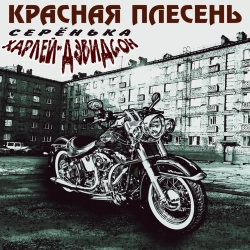 Krasnaya Plesen - Стадион-микс