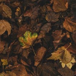 PIERRE061 - Також хворий