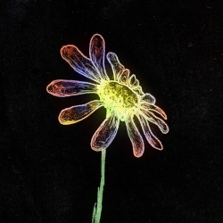 SadSvit - Твій промінь