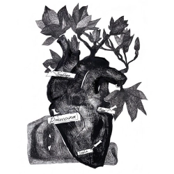 Schmalgauzen - Jessica - Single Version